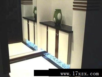 玄关装修图片