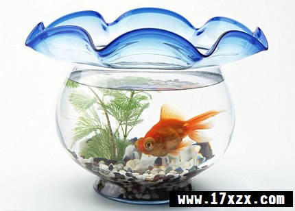 װڷŷˮ