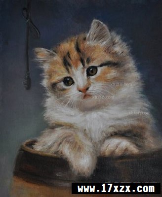 ϵͻ  è빷װλ